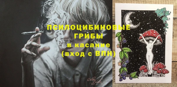 дживик Беломорск