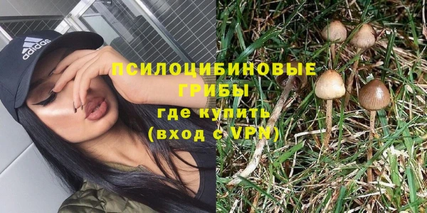 дживик Беломорск