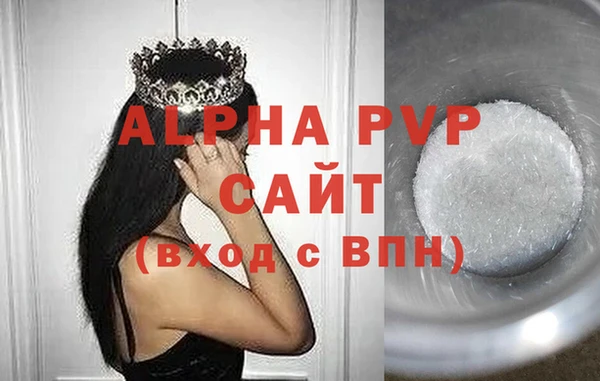 ECSTASY Богданович