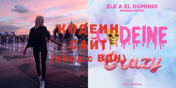 ECSTASY Богданович