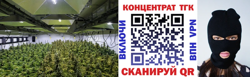 купить наркотики сайты Озёрск ТГК Wax